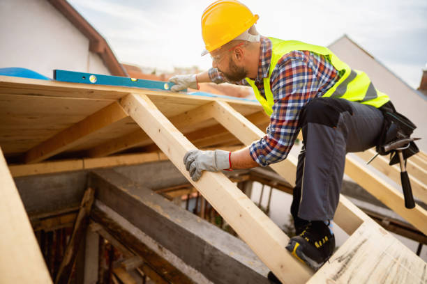 Best Roof Gutter Cleaning  in Syracuse, NE