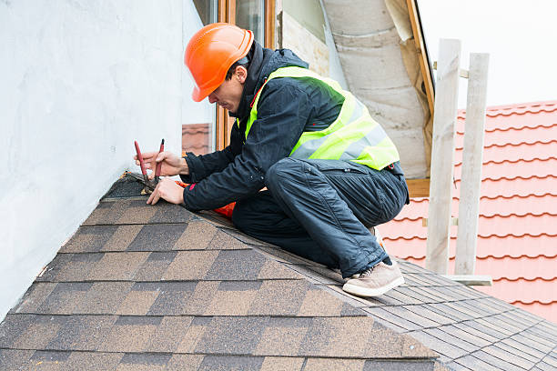 Best Metal Roofing Contractor  in Syracuse, NE